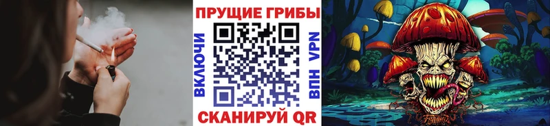 Галлюциногенные грибы MAGIC MUSHROOMS  Купить  Коммунар 